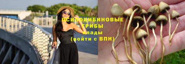 винт Лиски