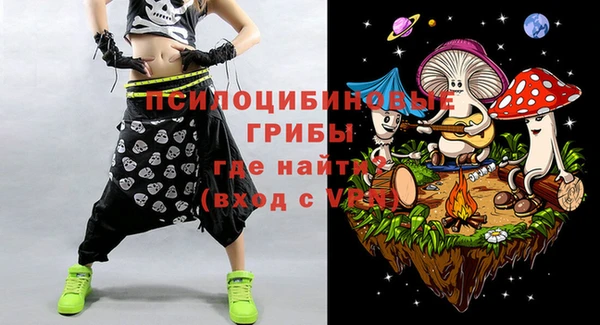 ГАЛЛЮЦИНОГЕННЫЕ ГРИБЫ Лихославль
