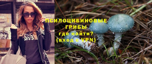 винт Лиски