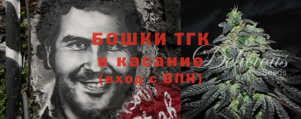 ГАЛЛЮЦИНОГЕННЫЕ ГРИБЫ Лабытнанги