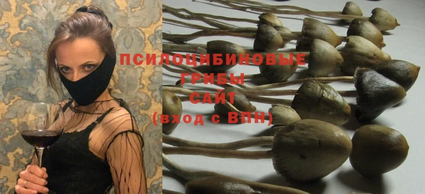 ГАЛЛЮЦИНОГЕННЫЕ ГРИБЫ Лихославль