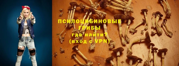 ГАЛЛЮЦИНОГЕННЫЕ ГРИБЫ Лихославль