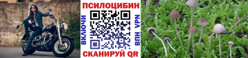 Галлюциногенные грибы мицелий  как найти наркотики  Курильск 